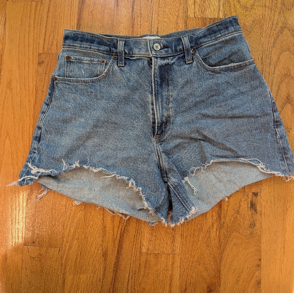 Curve Love Abercrombie & Fitch Blue Women's Shorts